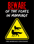 Beware Of The Foxes In Marriage